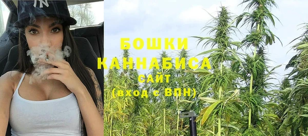 PSILOCYBIN Абдулино