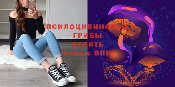 молекула духа Абинск