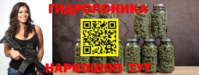 дмт Пенза
