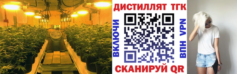 Дистиллят ТГК THC oil  kraken онион  Протвино 