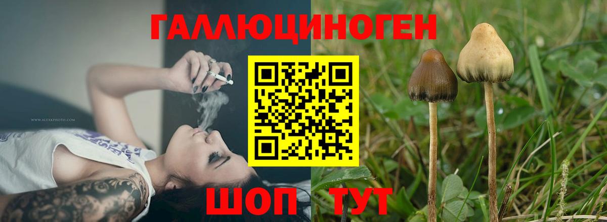 Галлюциногенные грибы Magic Shrooms Протвино