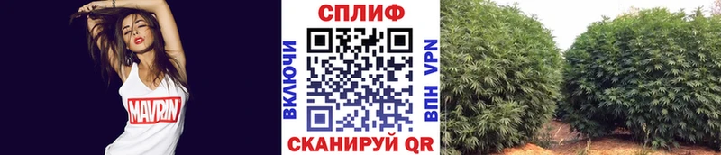 Каннабис White Widow  Протвино 